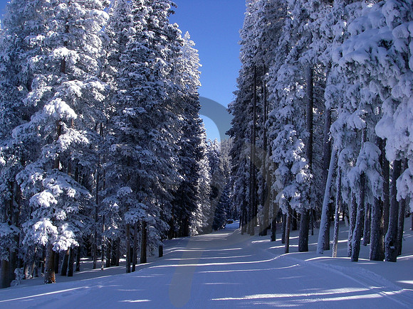 Vail