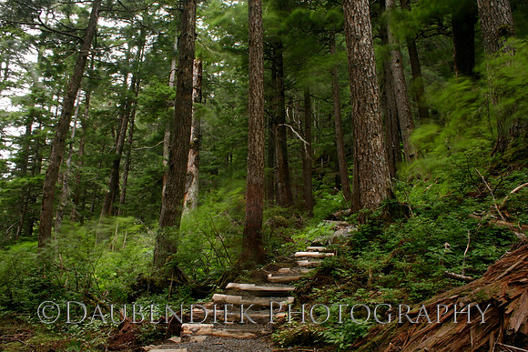 A Walk Through Alaska