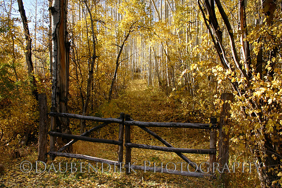 Fall Fence