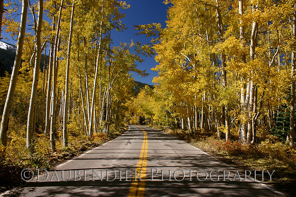 Highway 82 to Aspen