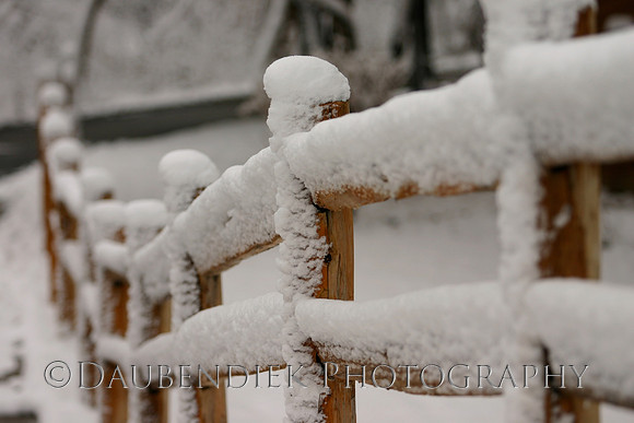 Winter Fence