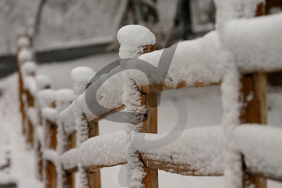 Winter Fence