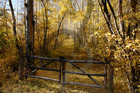 Fall Fence